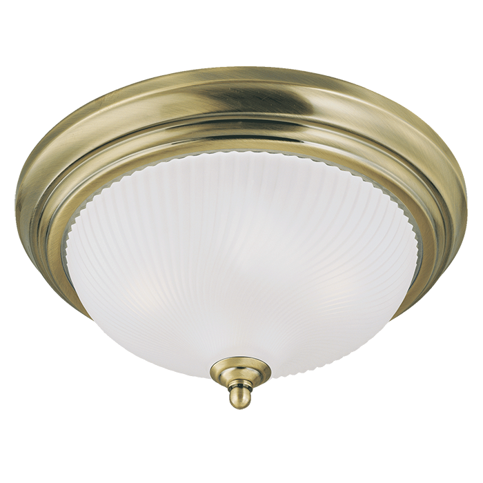 LAMPE PLAFOND 2L WESTINGHOUSE 66055