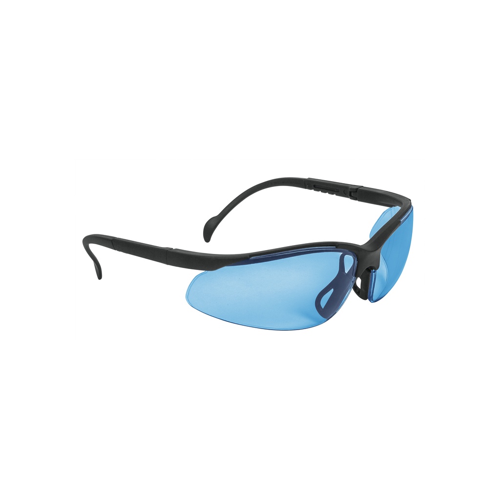LUNETTE DE PROTECTION BLUE TRUPER 14303