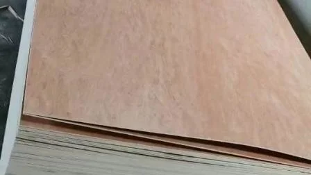 PLYWOOD 3/16 3.6MM PP