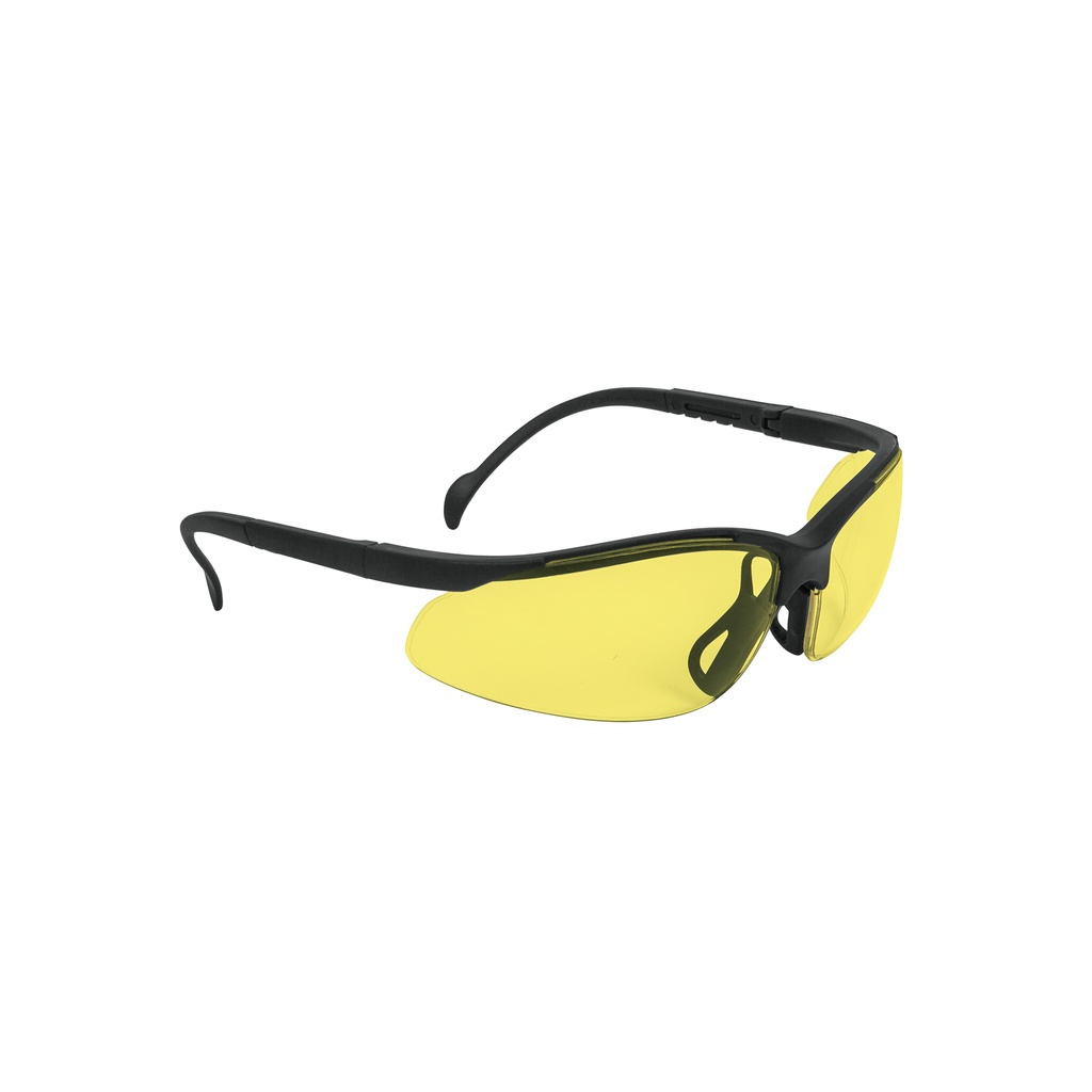 LUNETTE DE PROTECTION TRUPER 14304