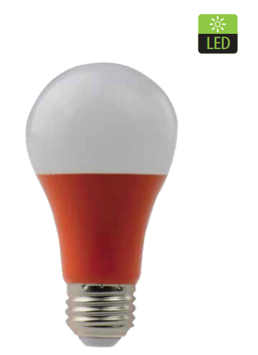 [7453089404109] AMPOULE LED 5W ORANGE WESTINGHOUSE 38717
