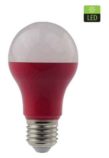 [7453089404079] AMPOULE LED 5W ROUGE WESTINGHOUSE 38714