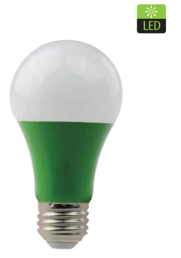[7453089404093] AMPOULE LED 5W VERT WESTINGHOUSE 38716